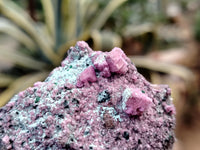 Natural Salrose Cobaltion Dolomite with Malachite Specimens x 12 From Kakanda, Congo