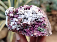 Natural Salrose Cobaltion Dolomite with Malachite Specimens x 12 From Kakanda, Congo