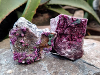 Natural Salrose Cobaltion Dolomite with Malachite Specimens x 12 From Kakanda, Congo