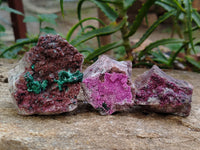 Natural Salrose Cobaltion Dolomite with Malachite Specimens x 12 From Kakanda, Congo