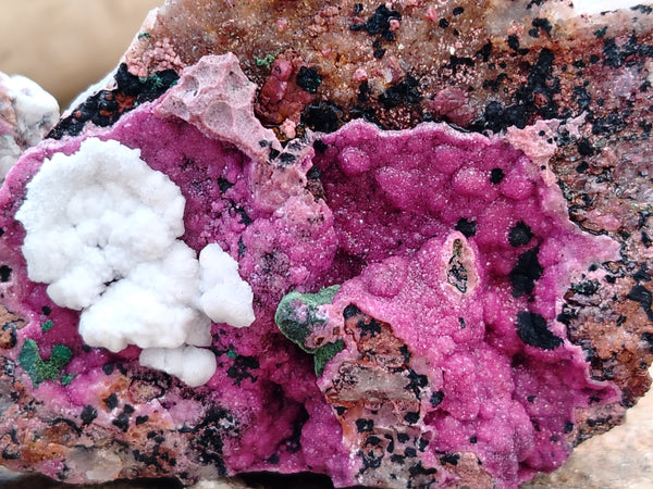 Natural Salrose Cobaltion Dolomite with Malachite Specimens x 12 From Kakanda, Congo