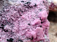 Natural Salrose Cobaltion Dolomite with Malachite Specimens x 12 From Kakanda, Congo