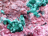 Natural Salrose Cobaltion Dolomite with Malachite Specimens x 12 From Kakanda, Congo