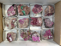 Natural Salrose Cobaltion Dolomite with Malachite Specimens x 12 From Kakanda, Congo