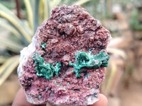 Natural Salrose Cobaltion Dolomite with Malachite Specimens x 12 From Kakanda, Congo