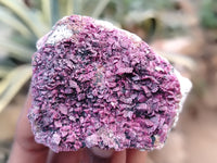 Natural Salrose Cobaltion Dolomite with Malachite Specimens x 12 From Kakanda, Congo