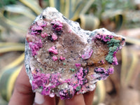 Natural Salrose Cobaltion Dolomite with Malachite Specimens x 12 From Kakanda, Congo