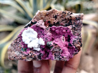 Natural Salrose Cobaltion Dolomite with Malachite Specimens x 12 From Kakanda, Congo