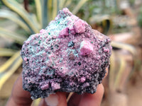 Natural Salrose Cobaltion Dolomite with Malachite Specimens x 12 From Kakanda, Congo