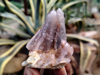 Natural Dark Purple Spirit Quartz Crystals x 35 From Boekenhouthoek, South Africa