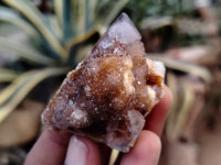 Natural Dark Purple Spirit Quartz Crystals x 35 From Boekenhouthoek, South Africa