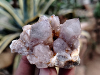 Natural Dark Purple Spirit Quartz Crystals x 35 From Boekenhouthoek, South Africa