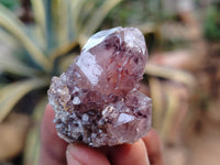 Natural Dark Purple Spirit Quartz Crystals x 35 From Boekenhouthoek, South Africa