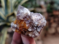 Natural Dark Purple Spirit Quartz Crystals x 35 From Boekenhouthoek, South Africa