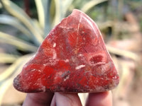 Polished Brecciated Jasper Free Forms x 34 From South Africa