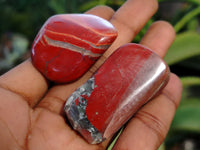 Polished Brecciated Jasper Free Forms x 34 From South Africa