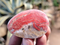 Polished Brecciated Jasper Free Forms x 34 From South Africa