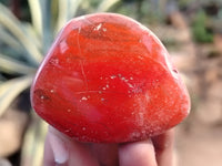 Polished Brecciated Jasper Free Forms x 34 From South Africa