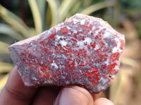 Polished Brecciated Jasper Free Forms x 34 From South Africa