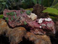 Natural Salrose Cobaltion Dolomite with Malachite Specimens x 12 From Kakanda, Congo