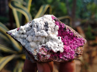 Natural Salrose Cobaltion Dolomite with Malachite Specimens x 12 From Kakanda, Congo