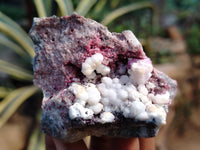 Natural Salrose Cobaltion Dolomite with Malachite Specimens x 12 From Kakanda, Congo