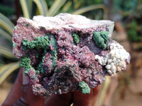 Natural Salrose Cobaltion Dolomite with Malachite Specimens x 12 From Kakanda, Congo