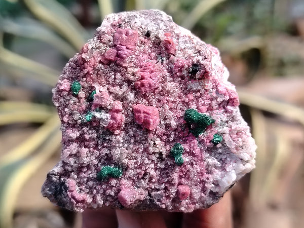 Natural Salrose Cobaltion Dolomite with Malachite Specimens x 12 From Kakanda, Congo