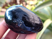 Polished Black Tourmaline Standing Free Form x 19 From Madagascar