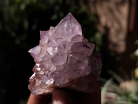 Natural Dark Amethyst Spirit Quartz Clusters x 12 From Boekenhouthoek, South Africa