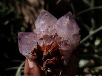 Natural Dark Amethyst Spirit Quartz Clusters x 12 From Boekenhouthoek, South Africa