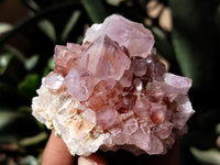 Natural Dark Amethyst Spirit Quartz Clusters x 12 From Boekenhouthoek, South Africa