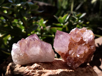 Natural Dark Amethyst Spirit Quartz Clusters x 12 From Boekenhouthoek, South Africa