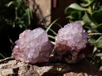 Natural Dark Amethyst Spirit Quartz Clusters x 12 From Boekenhouthoek, South Africa