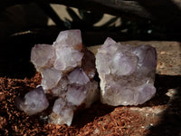 Natural Dark Amethyst Spirit Quartz Clusters x 12 From Boekenhouthoek, South Africa