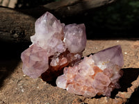 Natural Dark Amethyst Spirit Quartz Clusters x 12 From Boekenhouthoek, South Africa