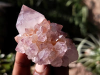 Natural Dark Amethyst Spirit Quartz Clusters x 12 From Boekenhouthoek, South Africa