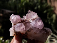 Natural Dark Amethyst Spirit Quartz Clusters x 12 From Boekenhouthoek, South Africa