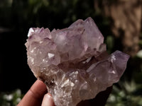 Natural Dark Amethyst Spirit Quartz Clusters x 12 From Boekenhouthoek, South Africa