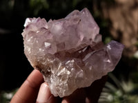 Natural Dark Amethyst Spirit Quartz Clusters x 12 From Boekenhouthoek, South Africa