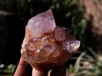 Natural Dark Amethyst Spirit Quartz Clusters x 12 From Boekenhouthoek, South Africa