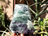 Polished On One Side Watermelon Fluorite Specimens x 3 From Uis, Namibia