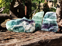 Polished On One Side Watermelon Fluorite Specimens x 3 From Uis, Namibia