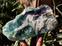 Polished On One Side Watermelon Fluorite Specimens x 3 From Uis, Namibia