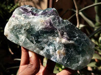 Polished On One Side Watermelon Fluorite Specimens x 3 From Uis, Namibia