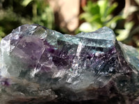 Polished On One Side Watermelon Fluorite Specimens x 3 From Uis, Namibia