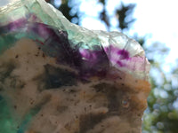 Polished On One Side Watermelon Fluorite Specimens x 3 From Uis, Namibia