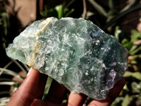 Polished On One Side Watermelon Fluorite Specimens x 3 From Uis, Namibia