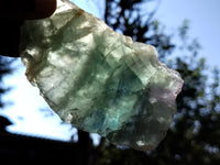 Polished On One Side Watermelon Fluorite Specimens x 3 From Uis, Namibia