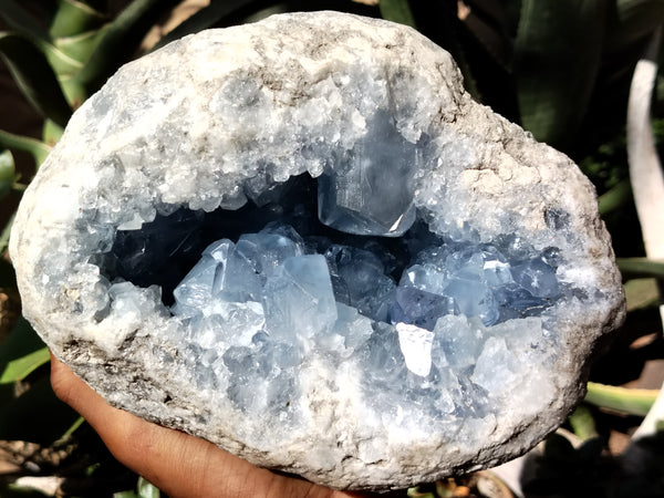 Natural Celestite Geode Specimens x 1 From Sakoany, Madagascar